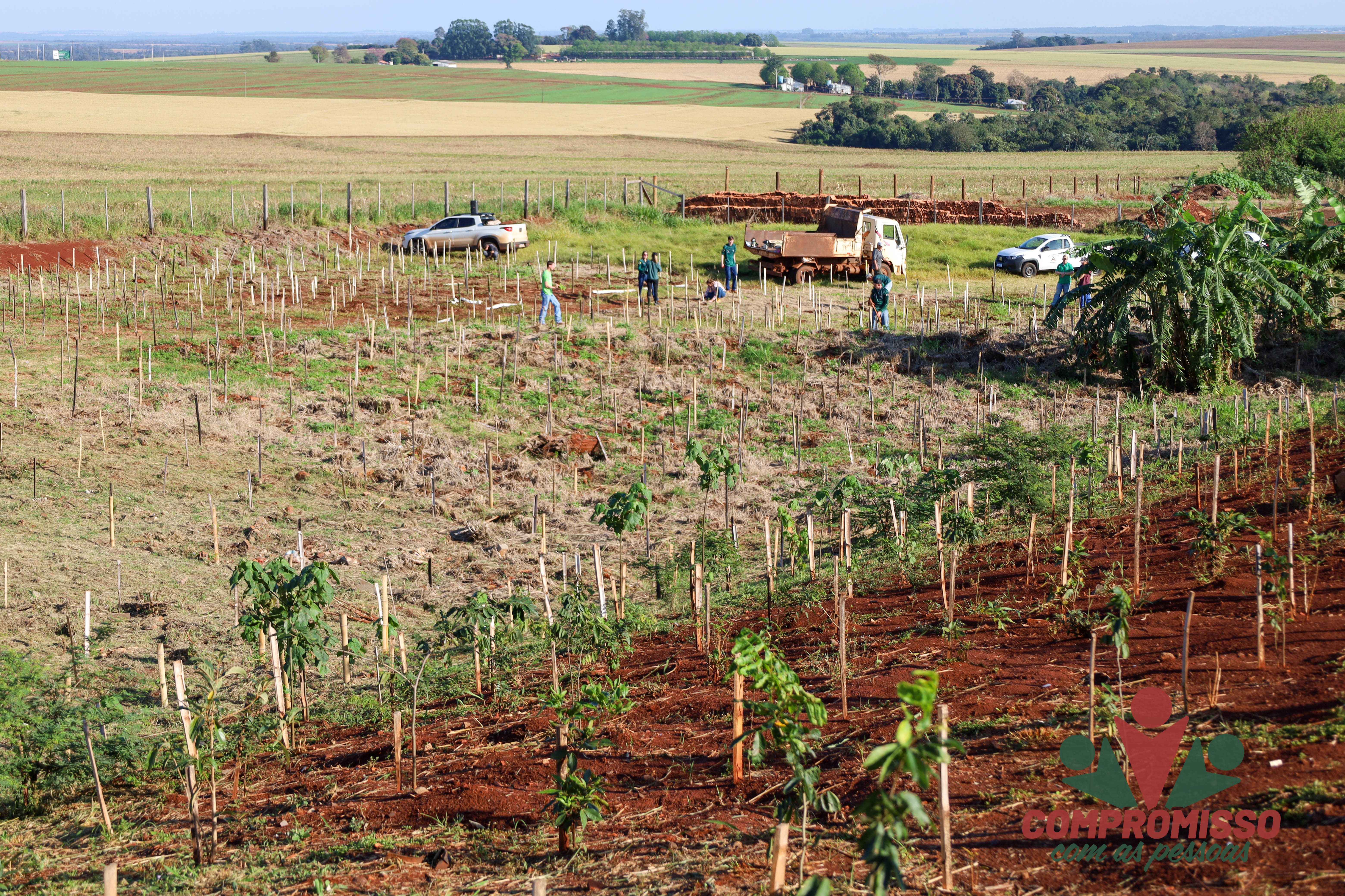 Quase mil mudas de árvores são plantadas em Área de Recuperação Ambiental em Missal