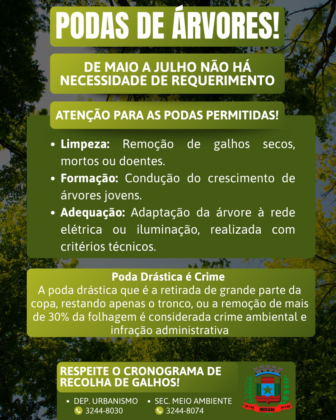 Secretaria de Meio Ambiente de Missal comunica sobre a Poda de Árvores