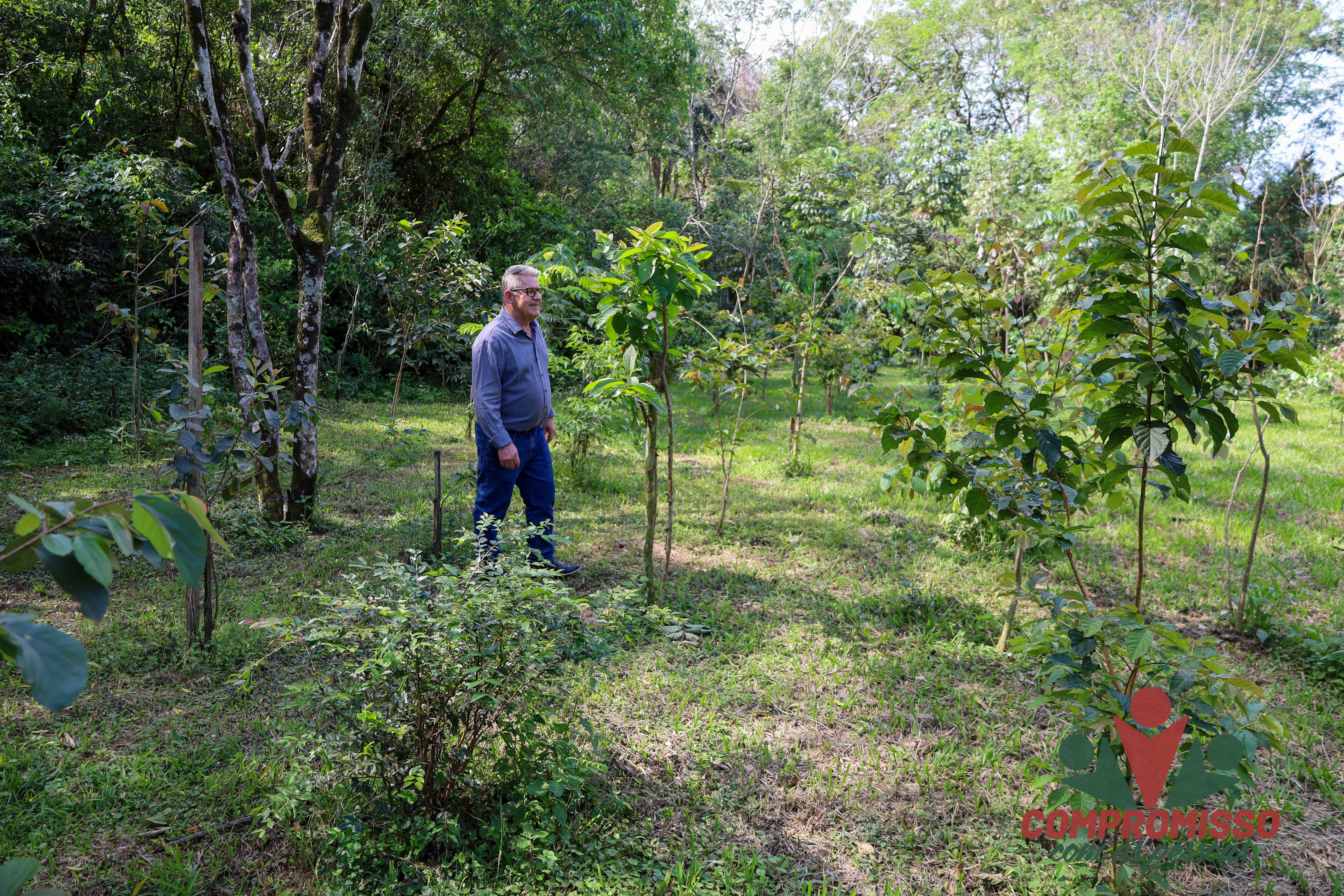 Missal antecipa compensação ambiental com plantio de mil mudas nativas