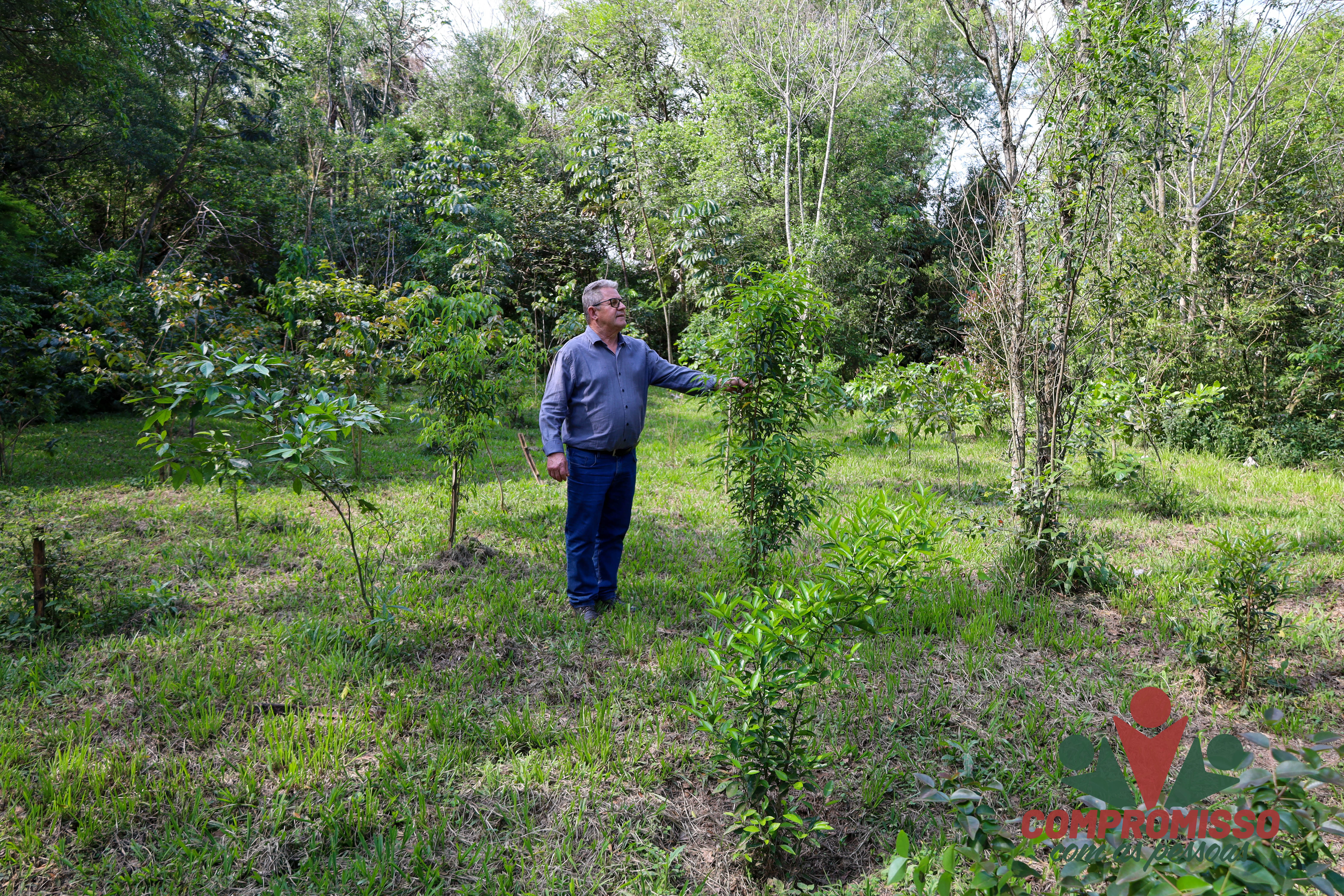 Missal antecipa compensação ambiental com plantio de mil mudas nativas