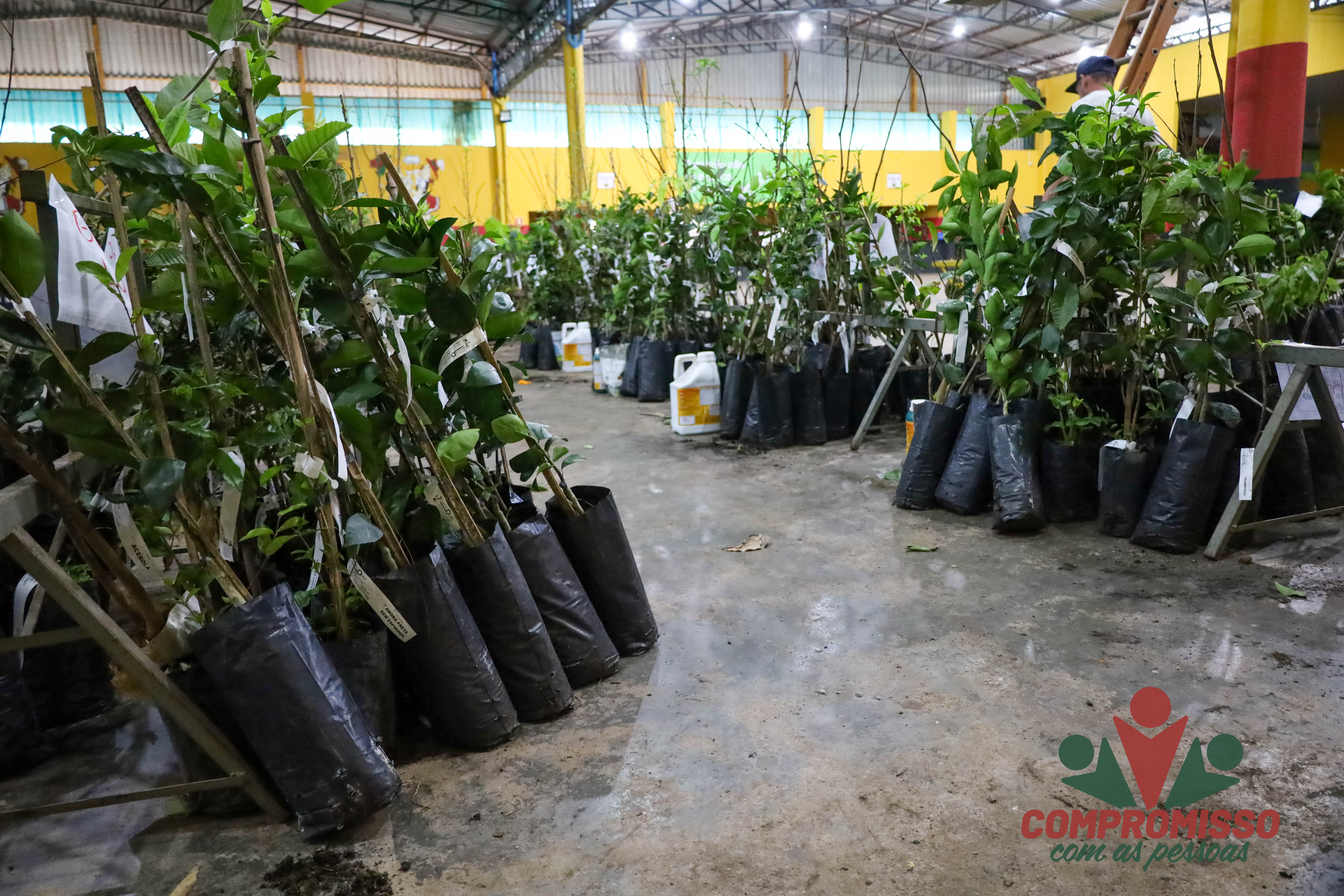 Produtores Rurais de Missal retiram mudas de árvores Frutíferas de Programa Municipal
