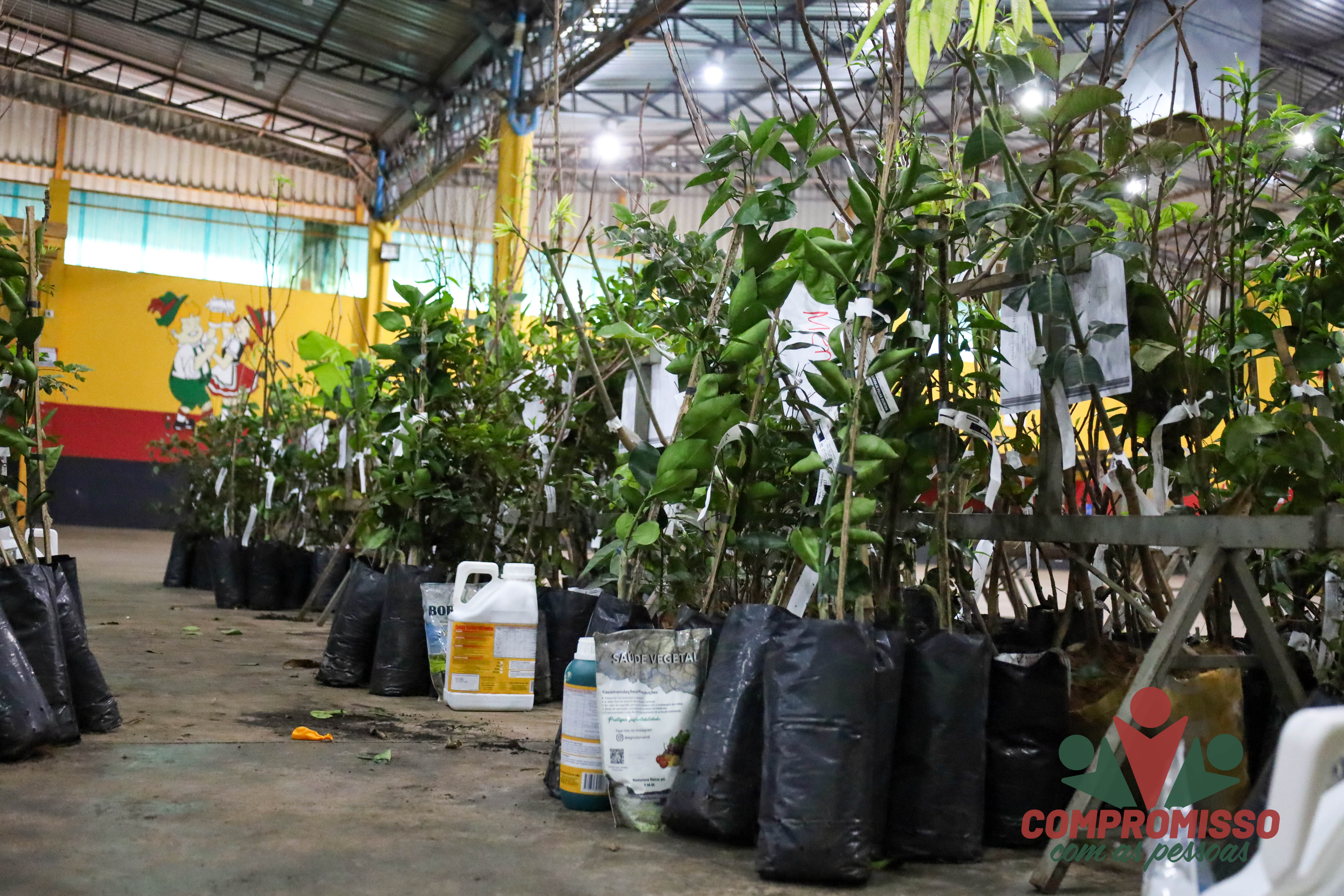 Produtores Rurais de Missal retiram mudas de árvores Frutíferas de Programa Municipal