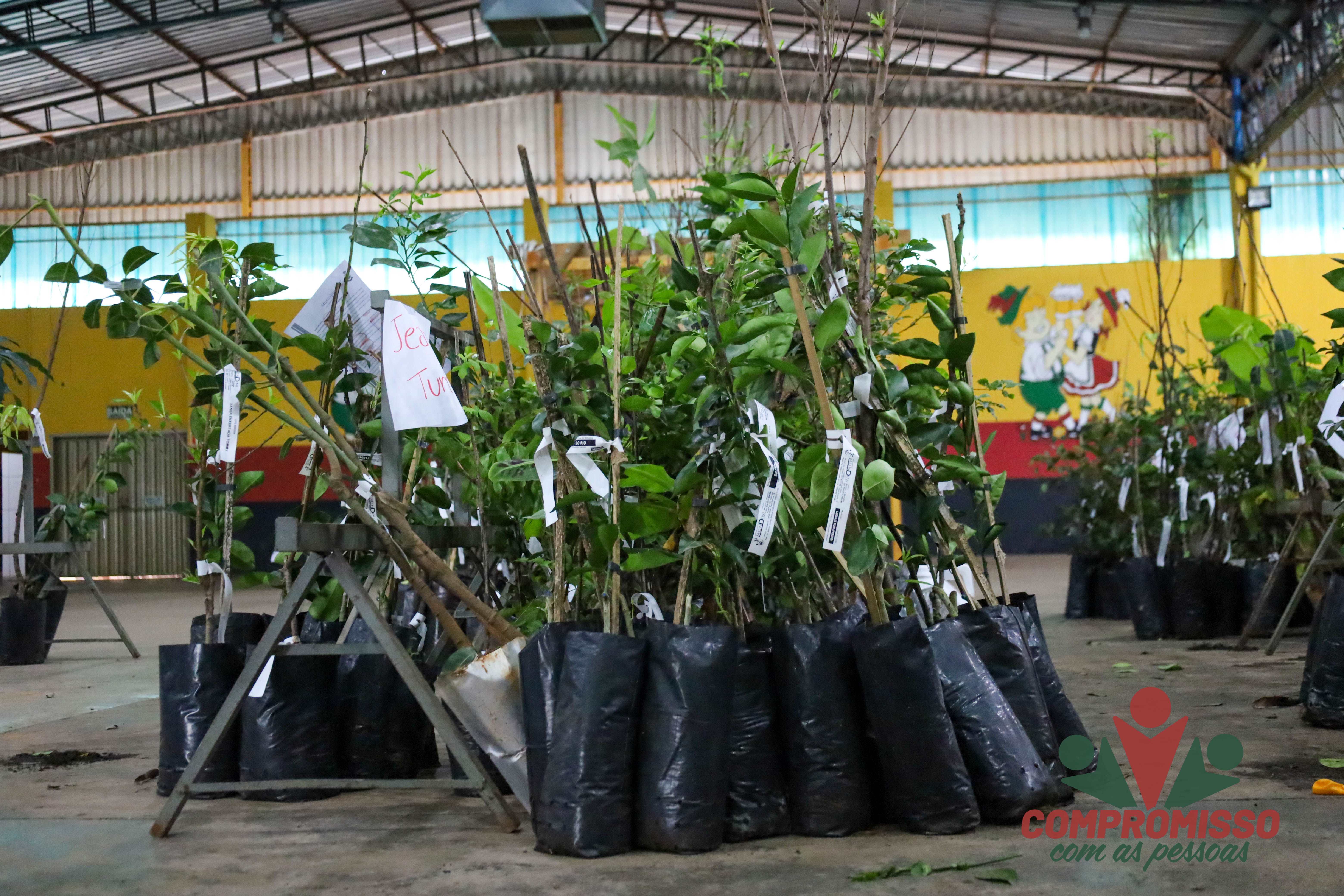 Produtores Rurais de Missal retiram mudas de árvores Frutíferas de Programa Municipal