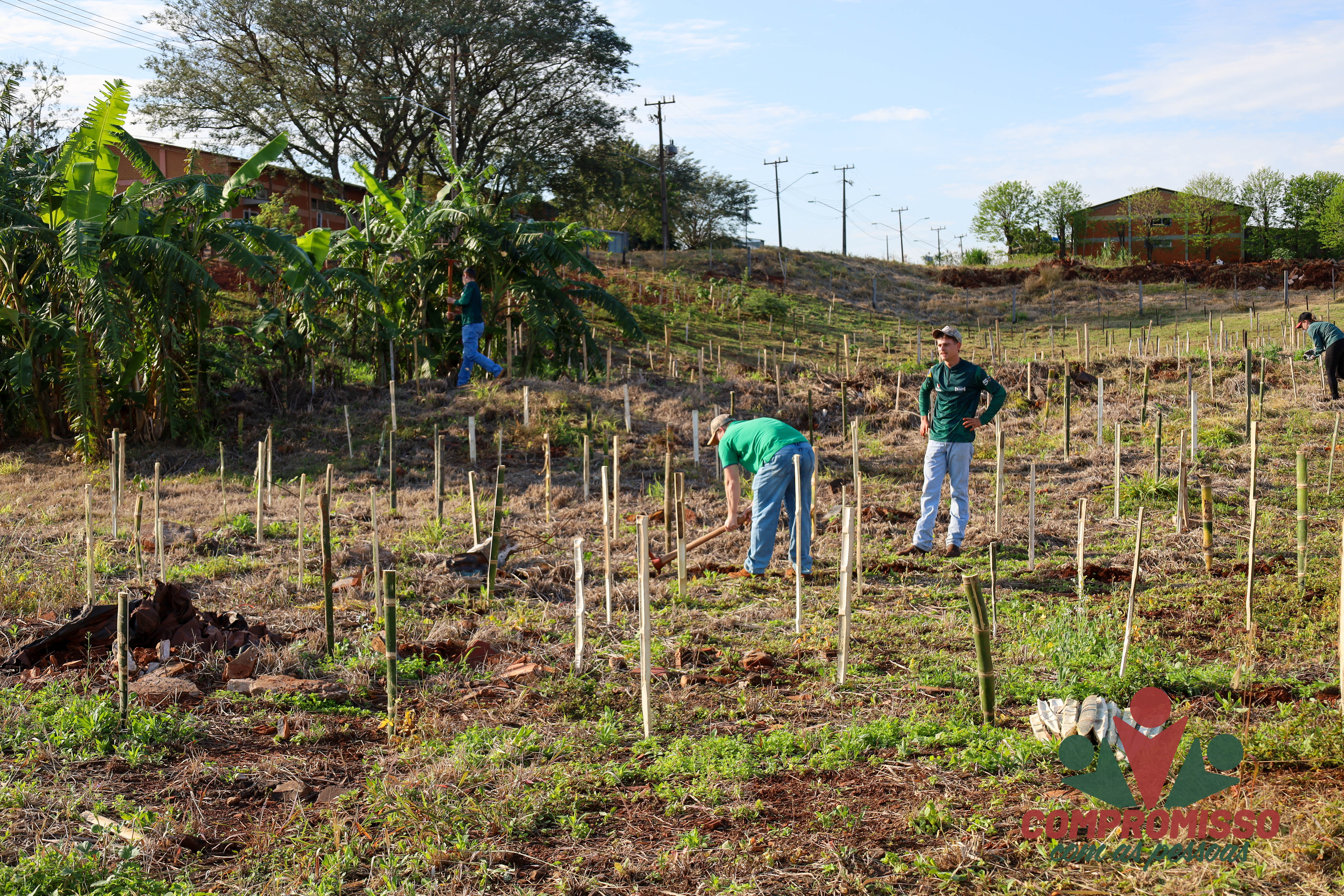 Quase mil mudas de árvores são plantadas em Área de Recuperação Ambiental em Missal