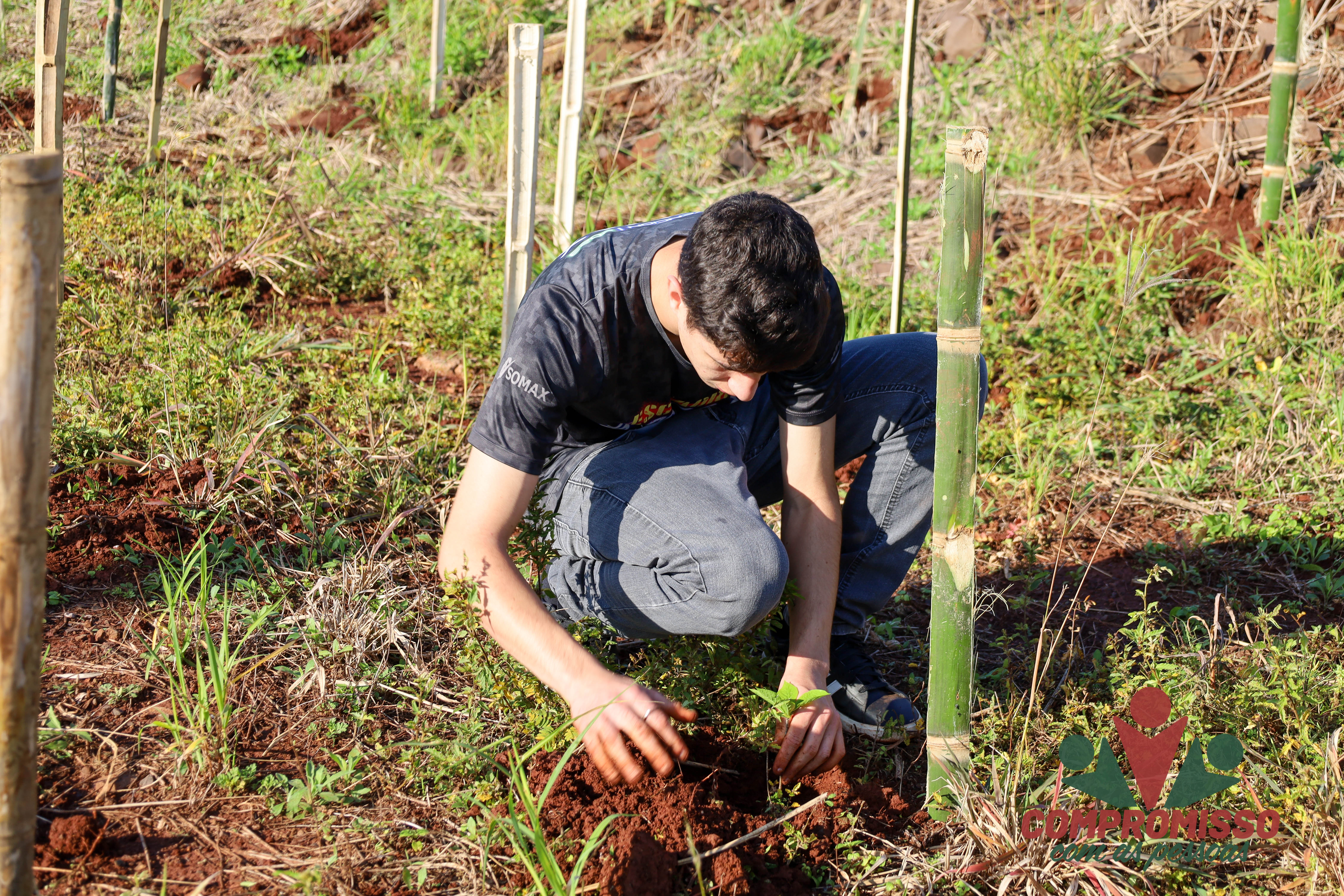 Quase mil mudas de árvores são plantadas em Área de Recuperação Ambiental em Missal