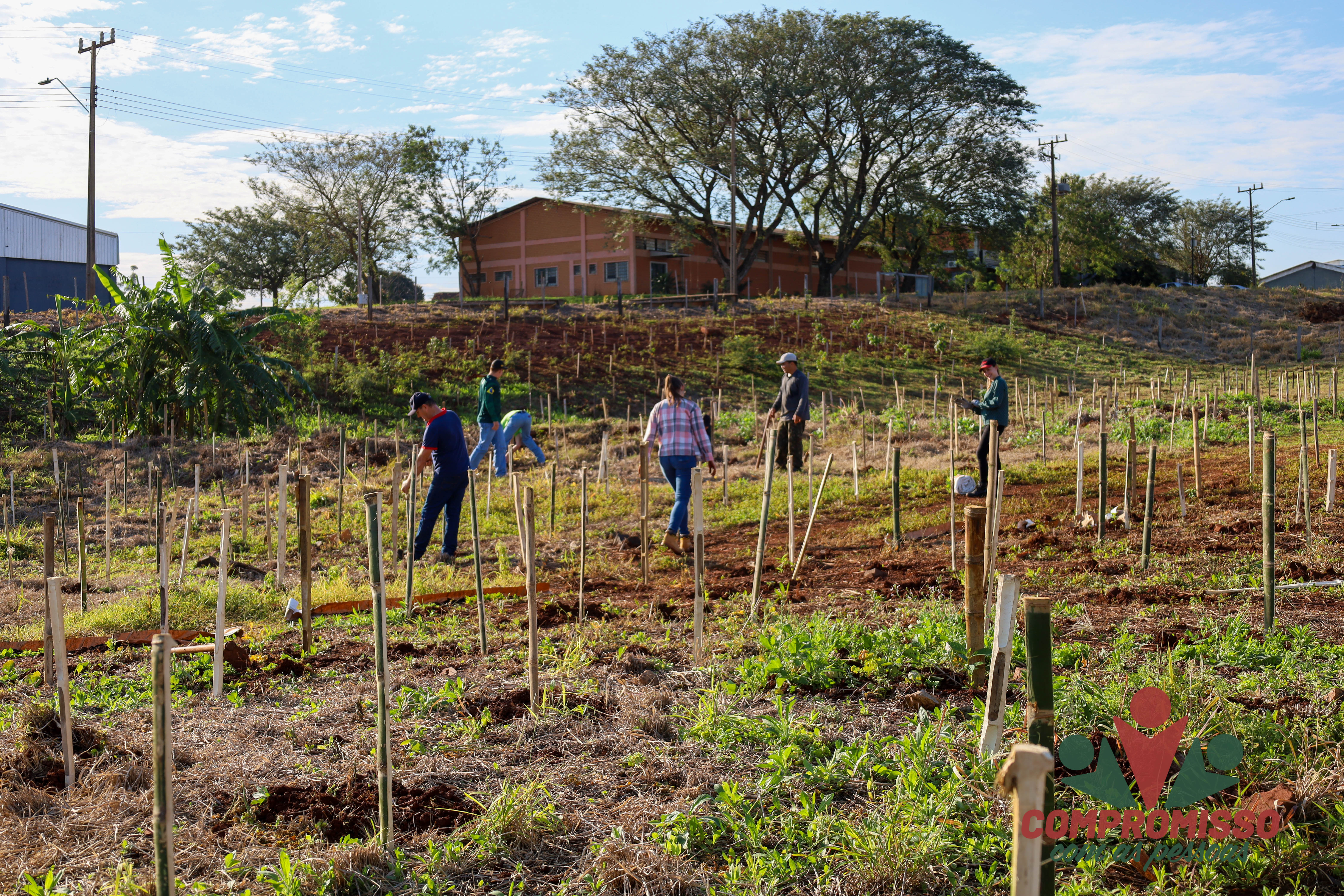 Quase mil mudas de árvores são plantadas em Área de Recuperação Ambiental em Missal