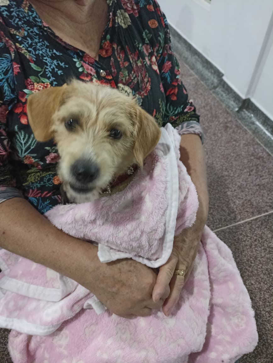 Missal terá Castrapet no dia 18 de novembro